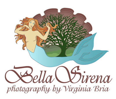 Bella Sirena Images :: Photography by Virgina Bria