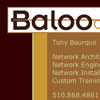Baloo Consulting