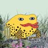 Toad's Potted Plants